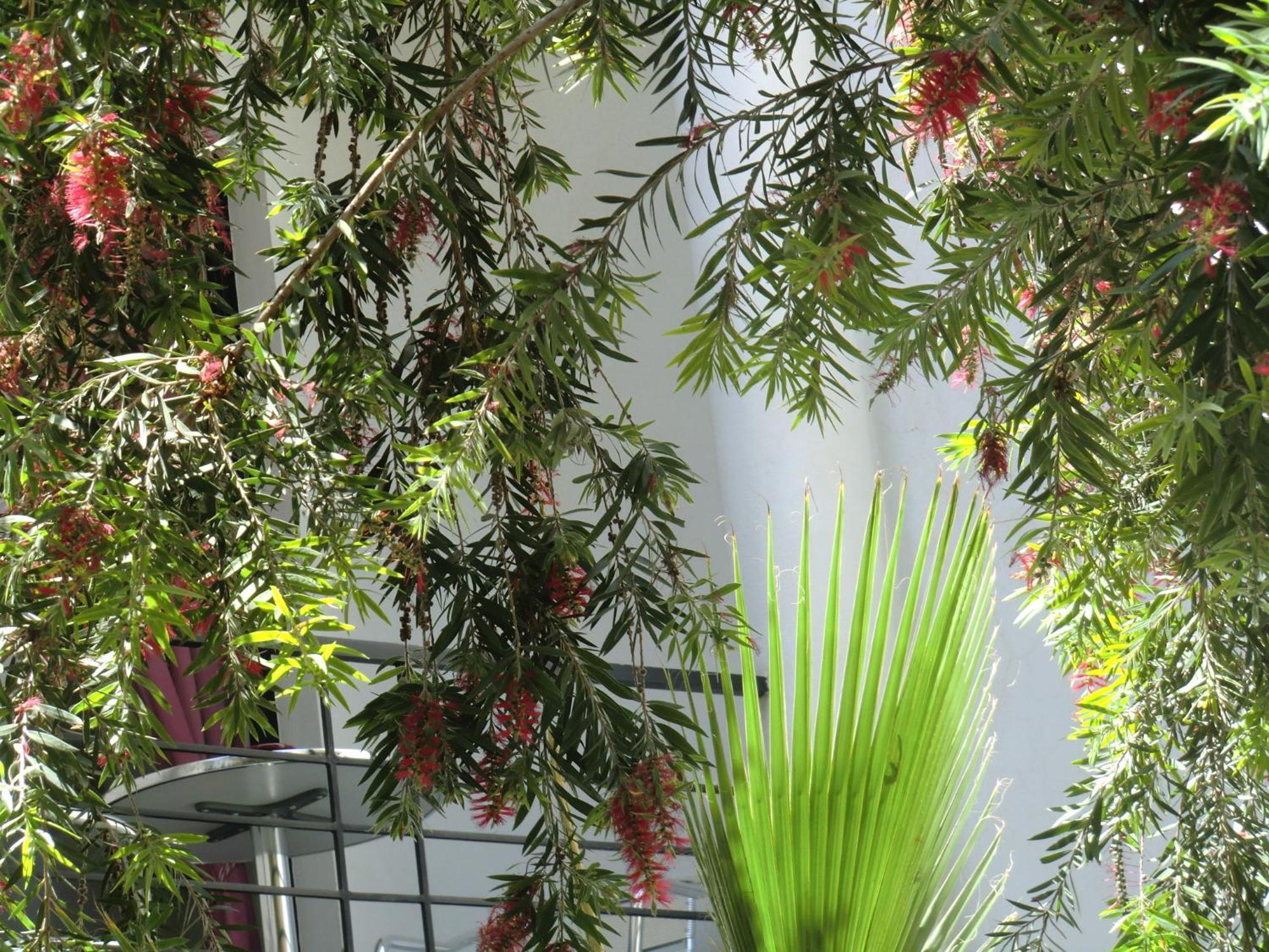 Riad Tchina Marrakesh Luaran gambar